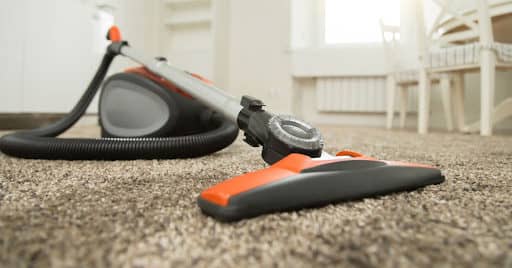 Is it Safe to Vacuum Mouse Droppings?