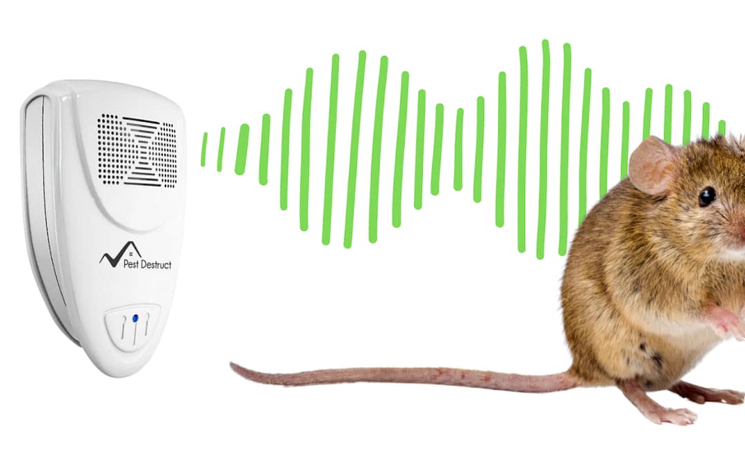 Do Ultrasonic Pest Repellers Actually Work?