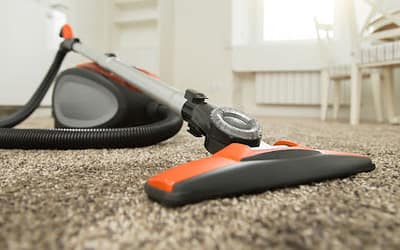 Is it safe to vacuum mouse droppings?