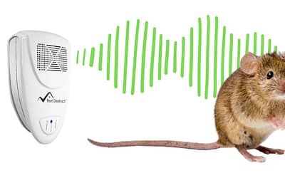 Do ultrasonic pest repellers actually work?