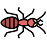 Drawing of a red ant